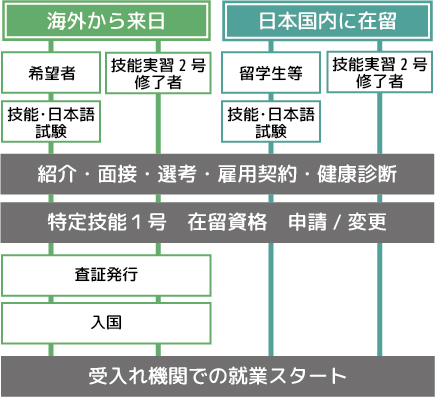 特定技能　雇用までの流れ